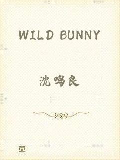 WILD BUNNY